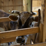 10-_MG_5918