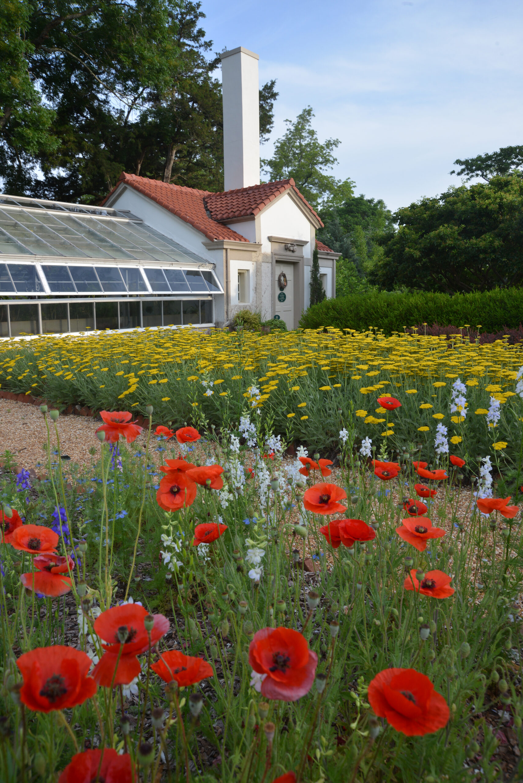 A garden greenhouse at Hills & Dales Estate