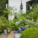 WilsonGarden05