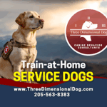 3D Dog Ad
