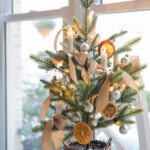 TJohnston-Cmas-OrangeSlices