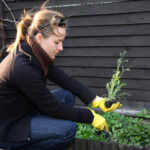 dreamstime_xxl_5036969 copy