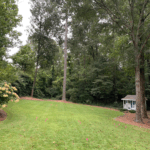 BEFORESorrellLawnMA26