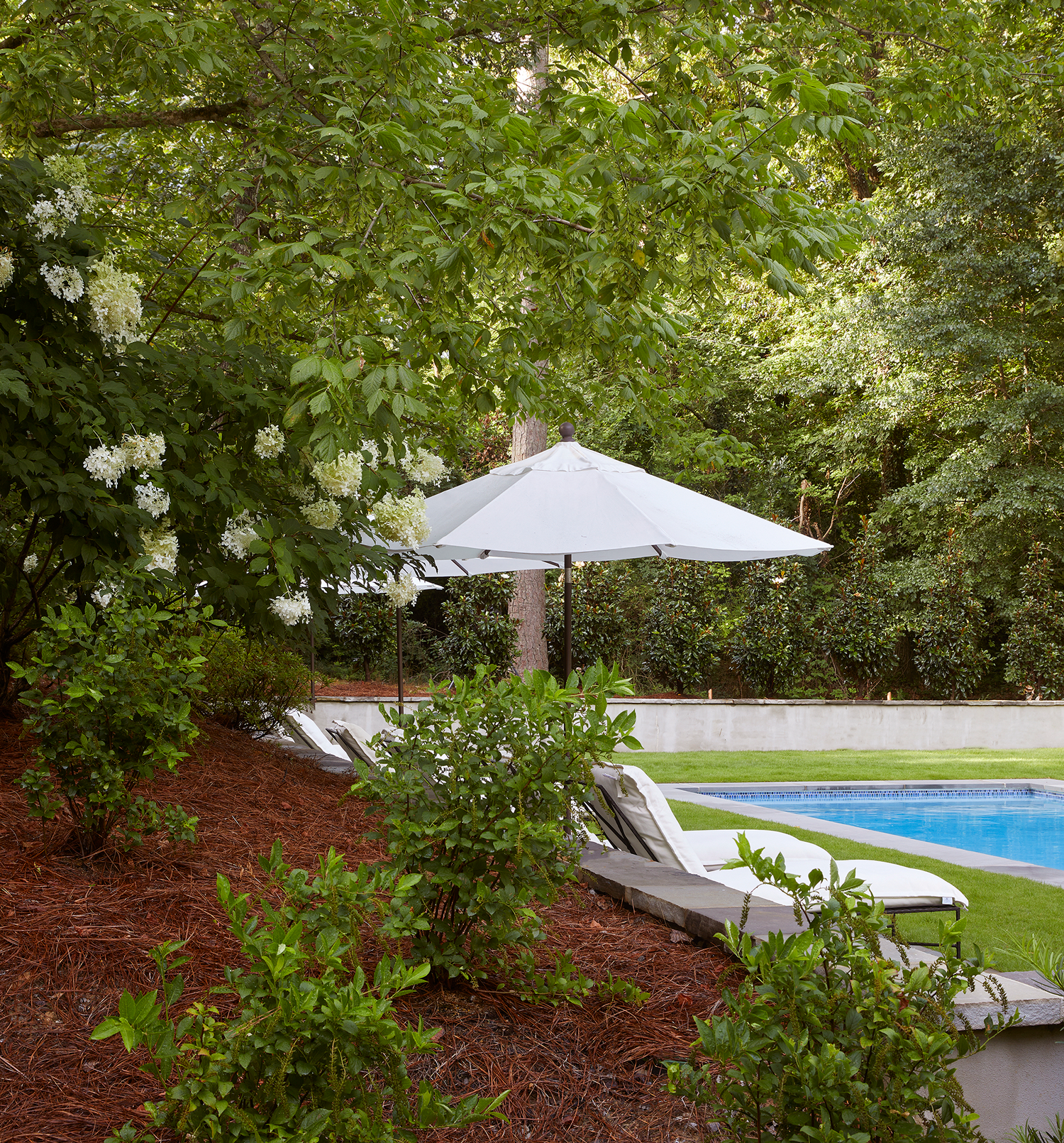Luxury white lounge chairs with umbrellas on a manicured lawn next to a backyard pool featuring wide stone coping.