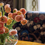 KNFlowers